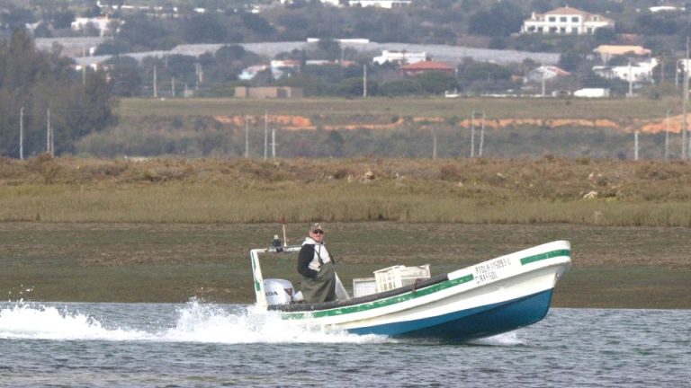 Best Time to Visit Algarve: Your Season-by-Season Guide