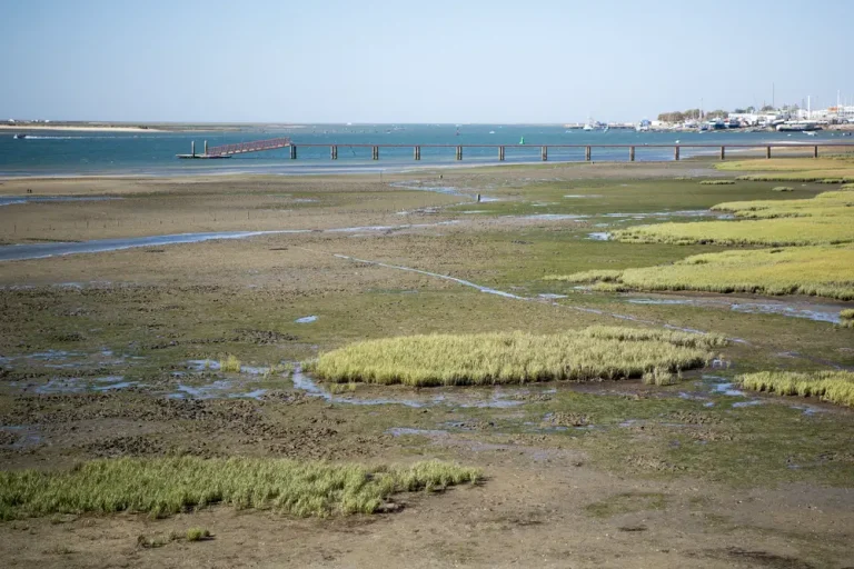 Atrações em Olhão e Arredores – Quinta de Marim